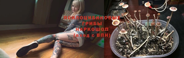 гидропоника Алексеевка