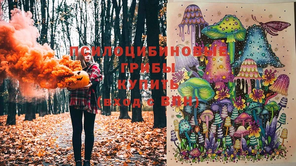 ПСИЛОЦИБИНОВЫЕ ГРИБЫ Гусь-Хрустальный