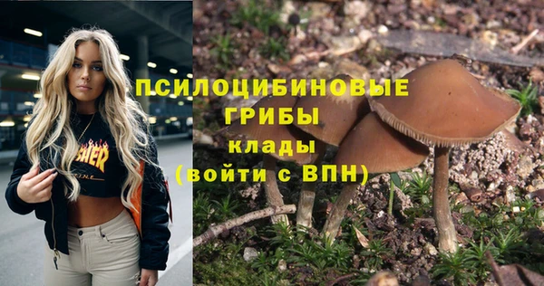 гидропоника Алексеевка