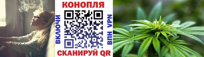 Конопля Bruce Banner  Сосновка 